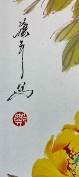 WP_20160726_16_11_20_Rich